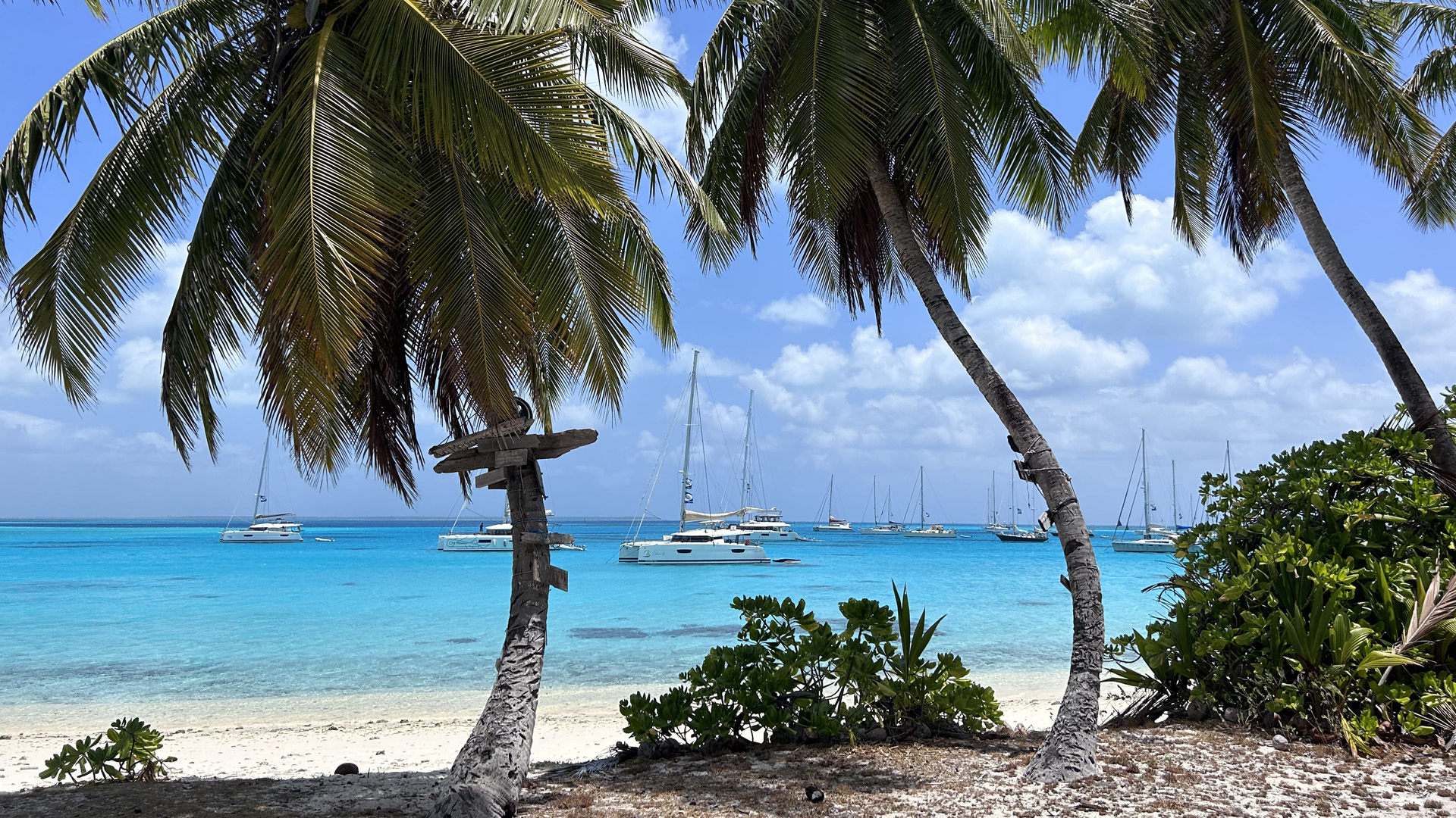 World ARC 2023 yachts at anchor off Direction Island in Cocos, with a white sand beach and palm trees