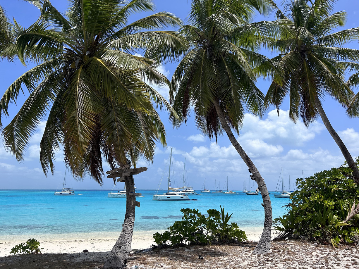Yachts anchored on turqoise waters off a beach with white sand and palm trees on Direction Island