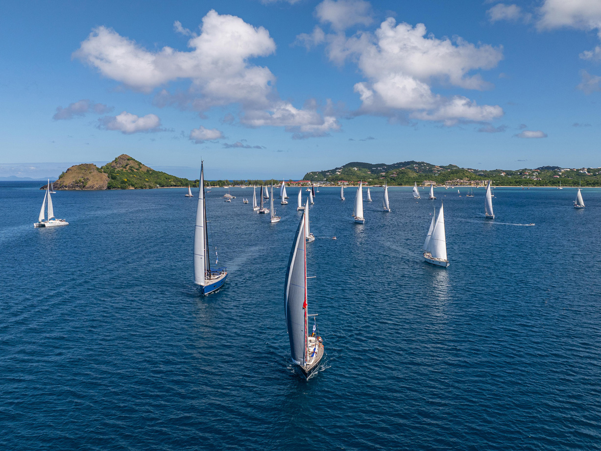 Yachts sail towards the camera with white sails at the start of World ARC. In the background is Pigeon Island and Rodney Bay