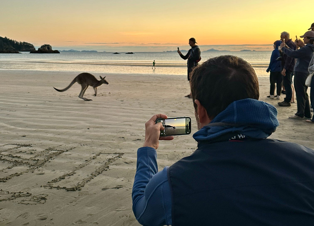 Photographing wallabies on the beach new Mackay, QLD is a highlight of World ARC
